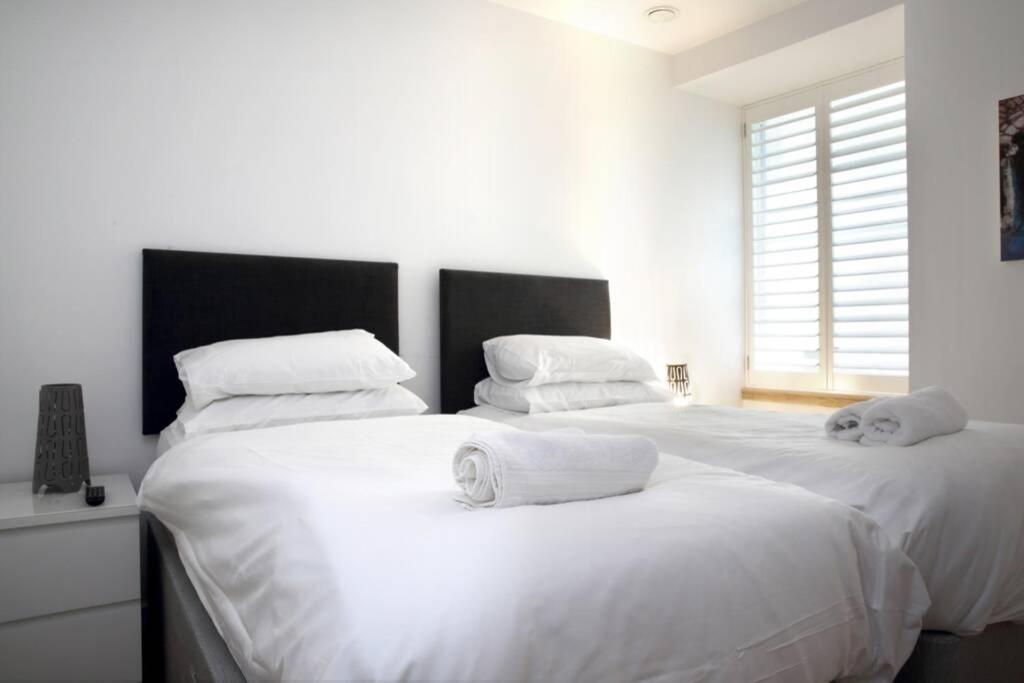 Turtle Apartment Edinburgh Ngoại thất bức ảnh